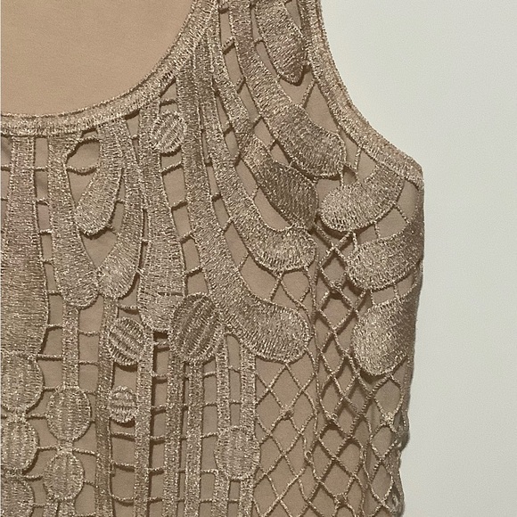 EXPRESS Lace Tank Top/Beige, Size Small - Picture 3 of 7